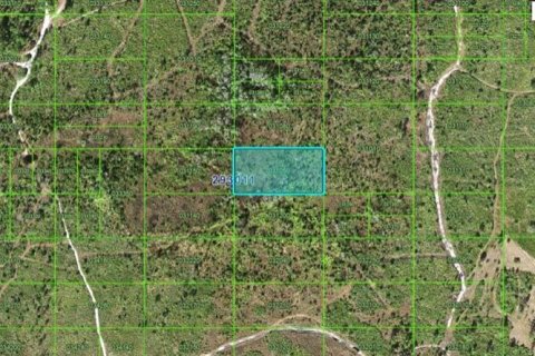 Terreno en Lake Wales, Florida № 2202838