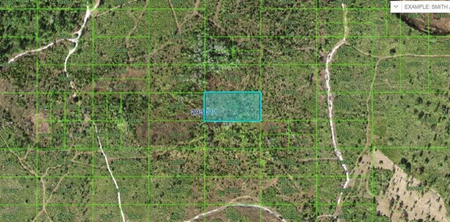 Terreno en Lake Wales, Florida № 2202838