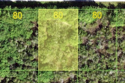 Land in Port Charlotte, Florida № 2212669 - photo 3