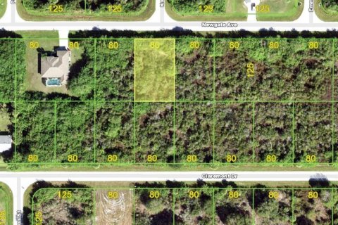 Land in Port Charlotte, Florida № 2212669 - photo 2