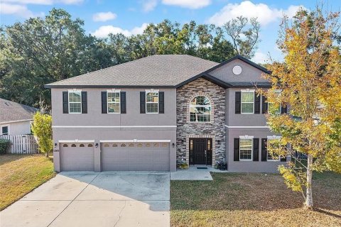 Villa ou maison à Newberry, Floride 6 chambres, 361.76 m2 № 2358635