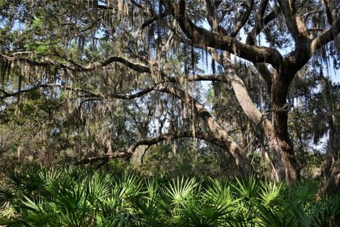 Terreno en venta en Sarasota, Florida № 238686 - foto 1