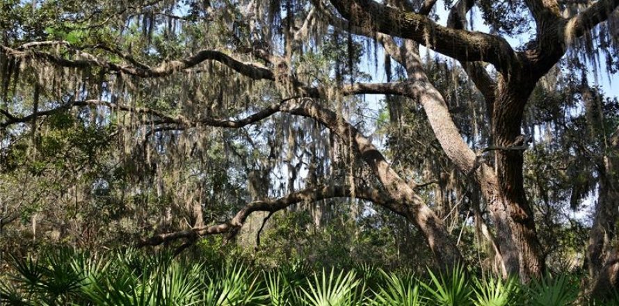 Terreno en Sarasota, Florida № 238686