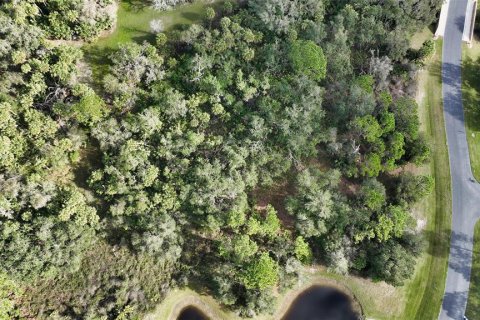 Terreno en venta en Sarasota, Florida № 238686 - foto 12