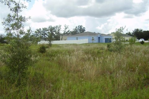 Terreno en venta en Kissimmee, Florida № 2239868 - foto 7