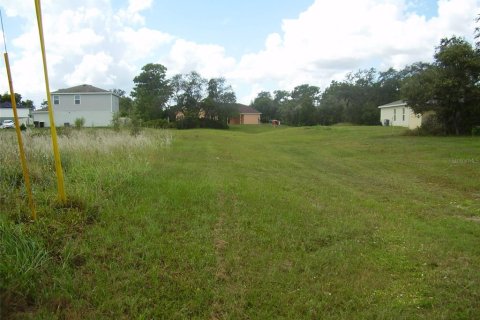 Terreno en venta en Kissimmee, Florida № 2239868 - foto 8
