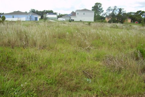Land in Kissimmee, Florida № 2239868