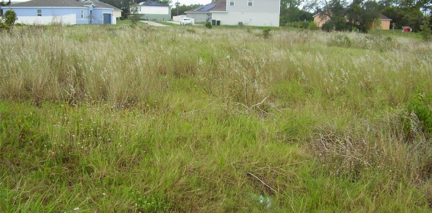Terreno en Kissimmee, Florida № 2239868