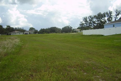 Terreno en venta en Kissimmee, Florida № 2239868 - foto 5