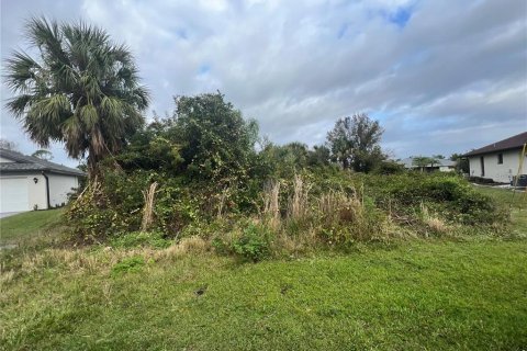 Land in Punta Gorda, Florida № 2165180 - photo 3