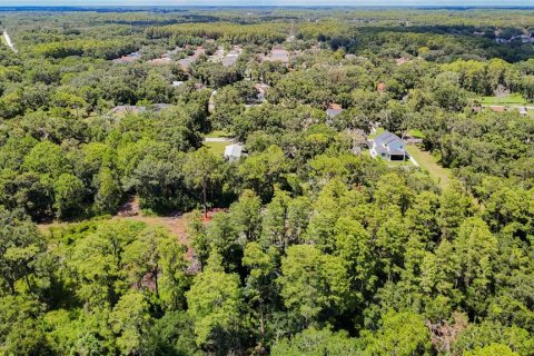 Land in Tampa, Florida № 1885186 - photo 9