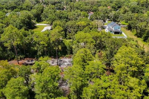 Land in Tampa, Florida № 1885186 - photo 7