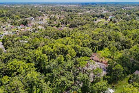 Land in Tampa, Florida № 1885186 - photo 11