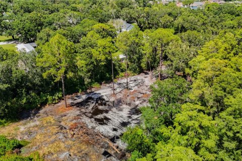 Land in Tampa, Florida № 1885186 - photo 5