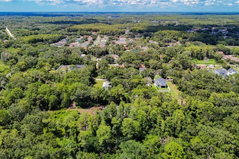 Land in Tampa, Florida № 1885186 - photo 10
