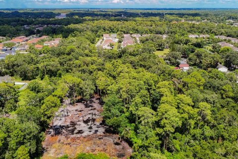 Land in Tampa, Florida № 1885186 - photo 3