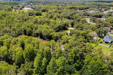 Land in Tampa, Florida № 1885186 - photo 8