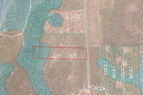Купить земельный участок в Ситра, Флорида № 2157855 - фото 4