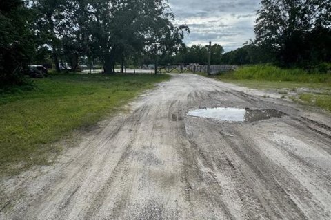 Propiedad comercial en venta en Mount Dora, Florida № 1810114 - foto 11