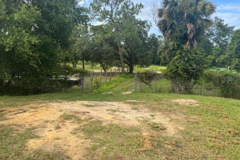 Propiedad comercial en venta en Mount Dora, Florida № 1810114 - foto 18