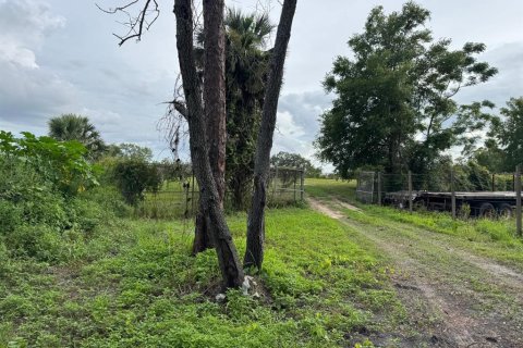 Propiedad comercial en venta en Mount Dora, Florida № 1810114 - foto 10