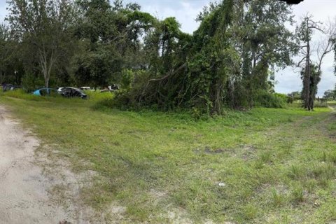 Propiedad comercial en venta en Mount Dora, Florida № 1810114 - foto 13