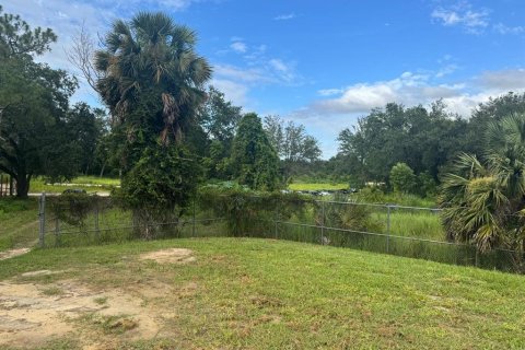 Propiedad comercial en venta en Mount Dora, Florida № 1810114 - foto 3