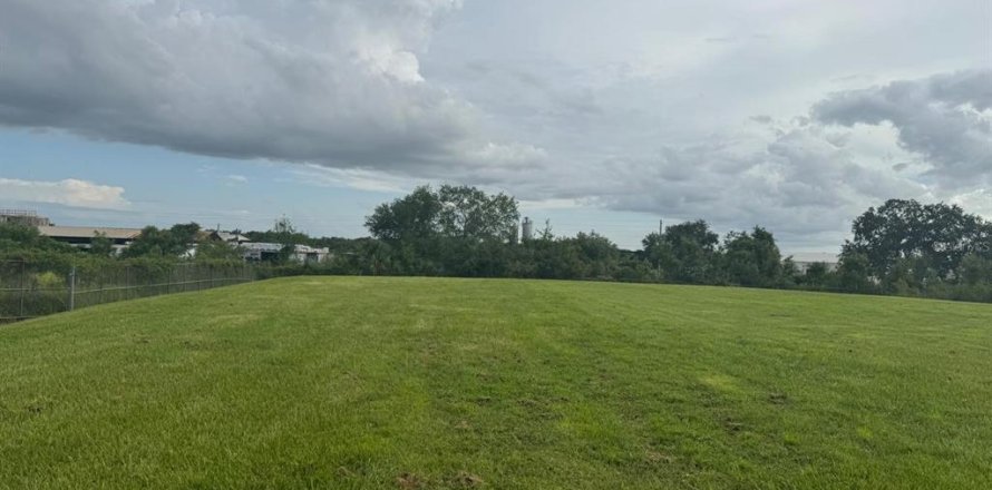Propiedad comercial en Mount Dora, Florida № 1810114