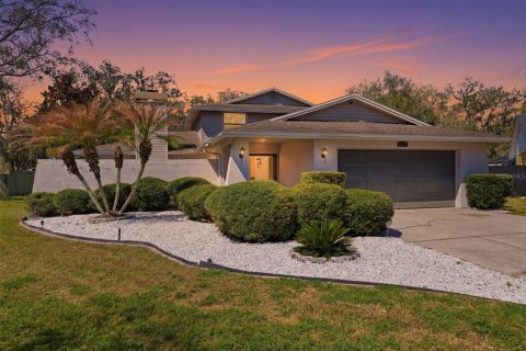 House in Temple Terrace, Florida 4 bedrooms, 228.63 sq.m. № 2220558 - photo 2