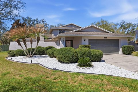 House in Temple Terrace, Florida 4 bedrooms, 228.63 sq.m. № 2220558