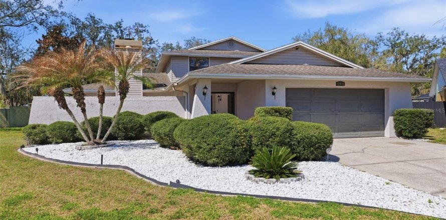 House in Temple Terrace, Florida 4 bedrooms, 228.63 sq.m. № 2220558