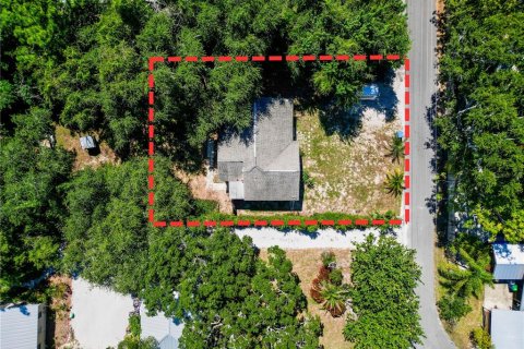 Villa ou maison à vendre à Palm Harbor, Floride: 3 chambres, 93.92 m2 № 2390857 - photo 9