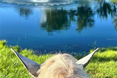 House in Bradenton, Florida 4 bedrooms, 232.16 sq.m. № 1680966 - photo 10