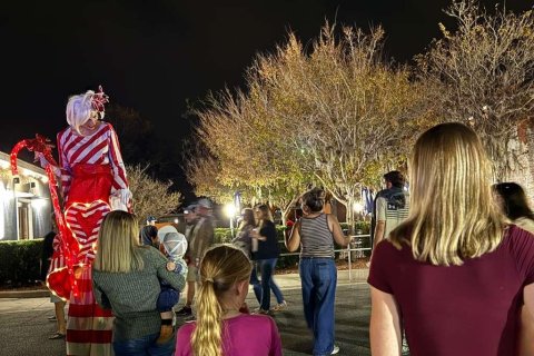 Land in Dunnellon, Florida № 2229030 - photo 3
