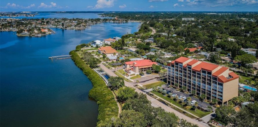 Condo à South Pasadena, Floride, 2 chambres № 1732976