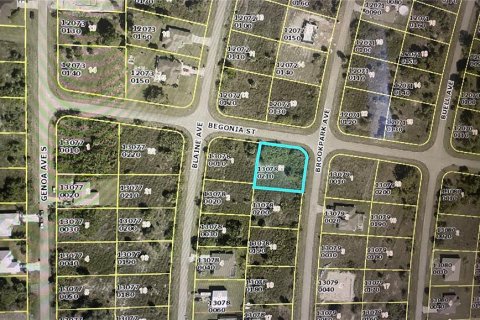 Land in Fort Myers, Florida № 2164643 - photo 2