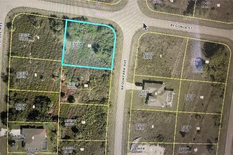 Land in Fort Myers, Florida № 2164643