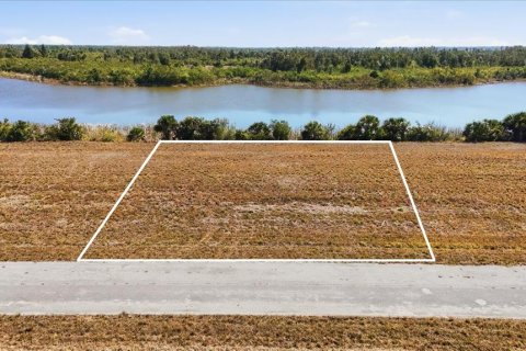 Terrain à Placida, Floride № 2108545