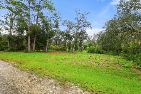 Land in Webster, Florida № 2159576