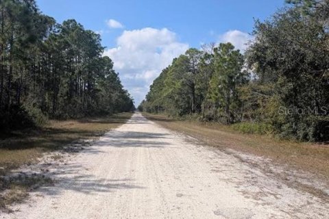 Land in Indian lake estates, Florida № 2165798 - photo 5