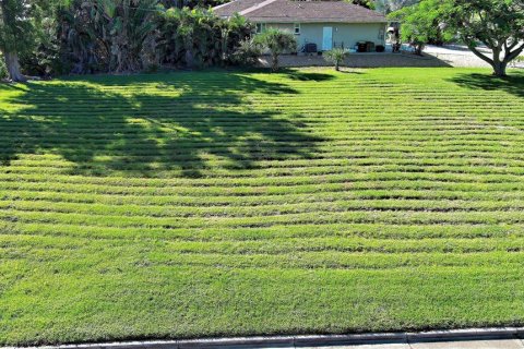 Land in Punta Gorda, Florida № 1908067 - photo 1