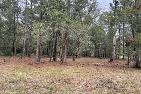 Terreno en venta en Macclenny, Florida № 777752 - foto 1