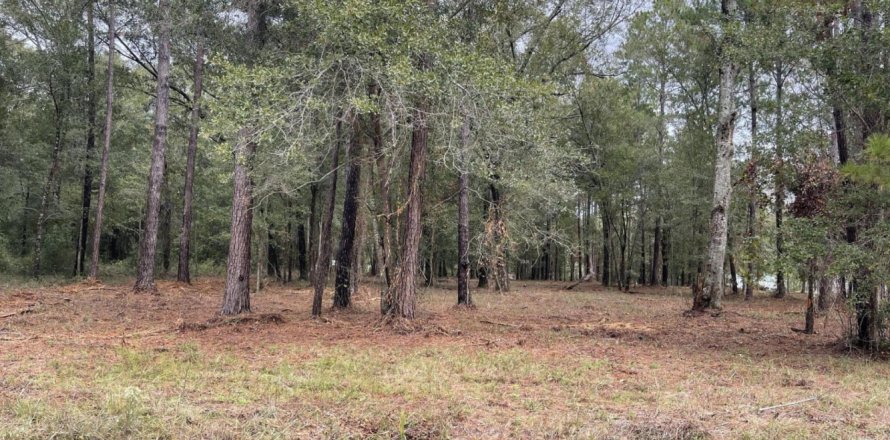 Terreno en Macclenny, Florida № 777752