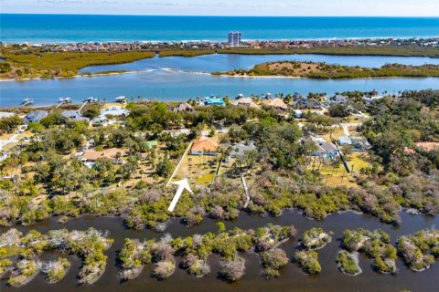 Villa ou maison à vendre à Flagler Beach, Floride: 4 chambres, 265.51 m2 № 2129469 - photo 29