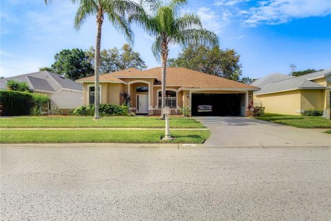 Villa ou maison à Clearwater, Floride 3 chambres, 160.72 m2 № 2167709