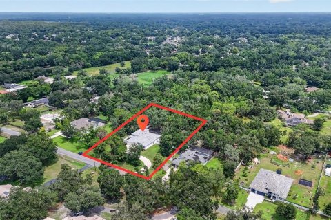 House in Lutz, Florida 5 bedrooms, 372.82 sq.m. № 2258229 - photo 5