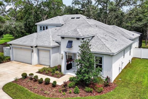 House in Lutz, Florida 5 bedrooms, 372.82 sq.m. № 2258229 - photo 4