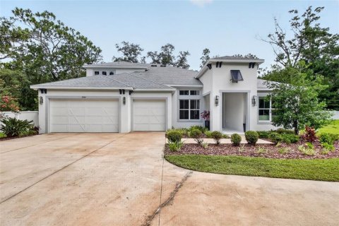 House in Lutz, Florida 5 bedrooms, 372.82 sq.m. № 2258229 - photo 3