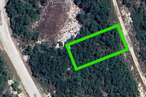 Land in Lake Placid, Florida № 2162630