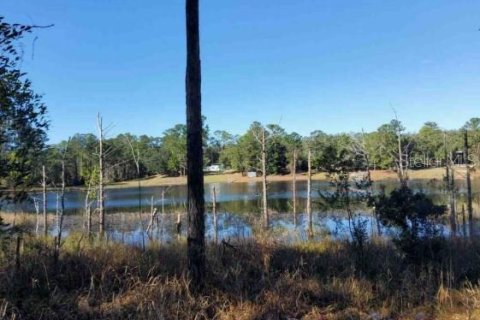 Land in Ocklawaha, Florida № 2212662 - photo 2